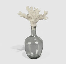 Load image into Gallery viewer, Smoky Bottle w/ Coral Stopper Collection