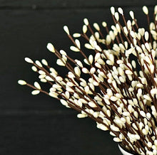 Load image into Gallery viewer, 12” Pip Berry Pick Collection