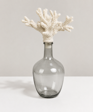 Load image into Gallery viewer, Smoky Bottle w/ Coral Stopper Collection