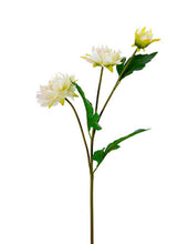 Load image into Gallery viewer, 23” Real Touch Dahlia Collection