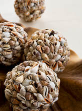 Load image into Gallery viewer, Decorative Shell Cluster Ball
