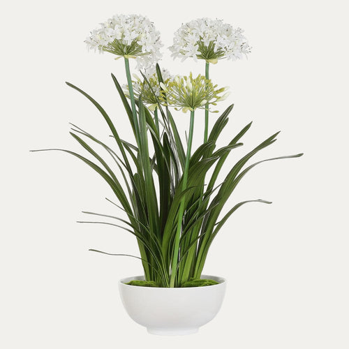 Artificial plant with white flowers and green leaves in a white pot on a white background