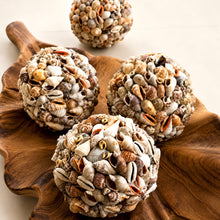 Load image into Gallery viewer, Decorative Shell Cluster Ball

