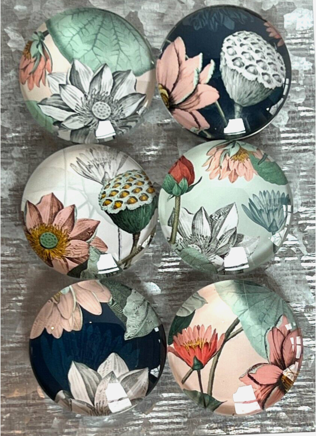 Wild Flower Magnet Set