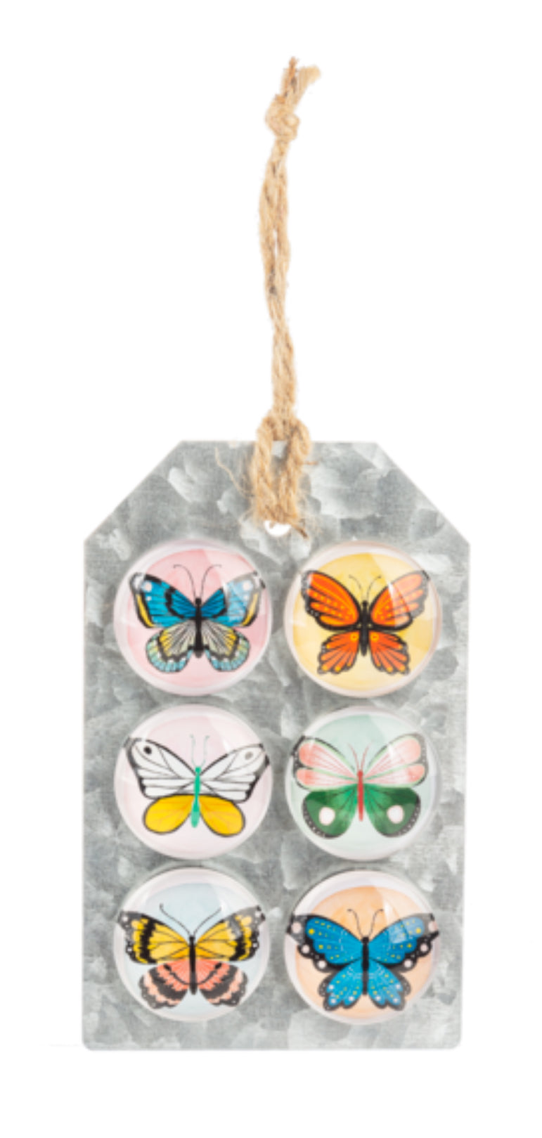 Butterfly Magnet Set
