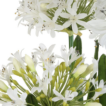 Load image into Gallery viewer, Purity Agapanthus Centerpiece
