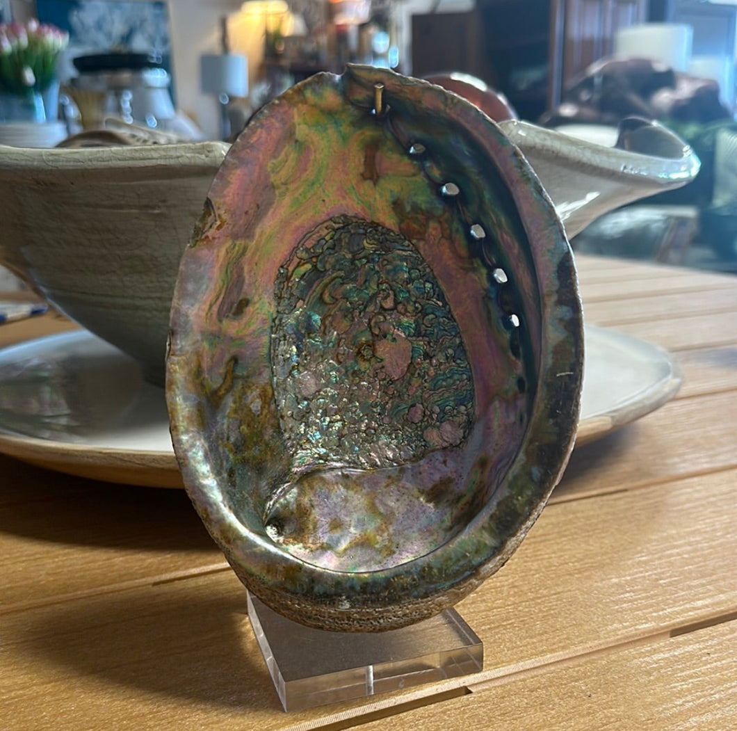 Hanging Shell Table Decor