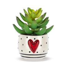Load image into Gallery viewer, Dots &amp; Heart Mini Succulent
