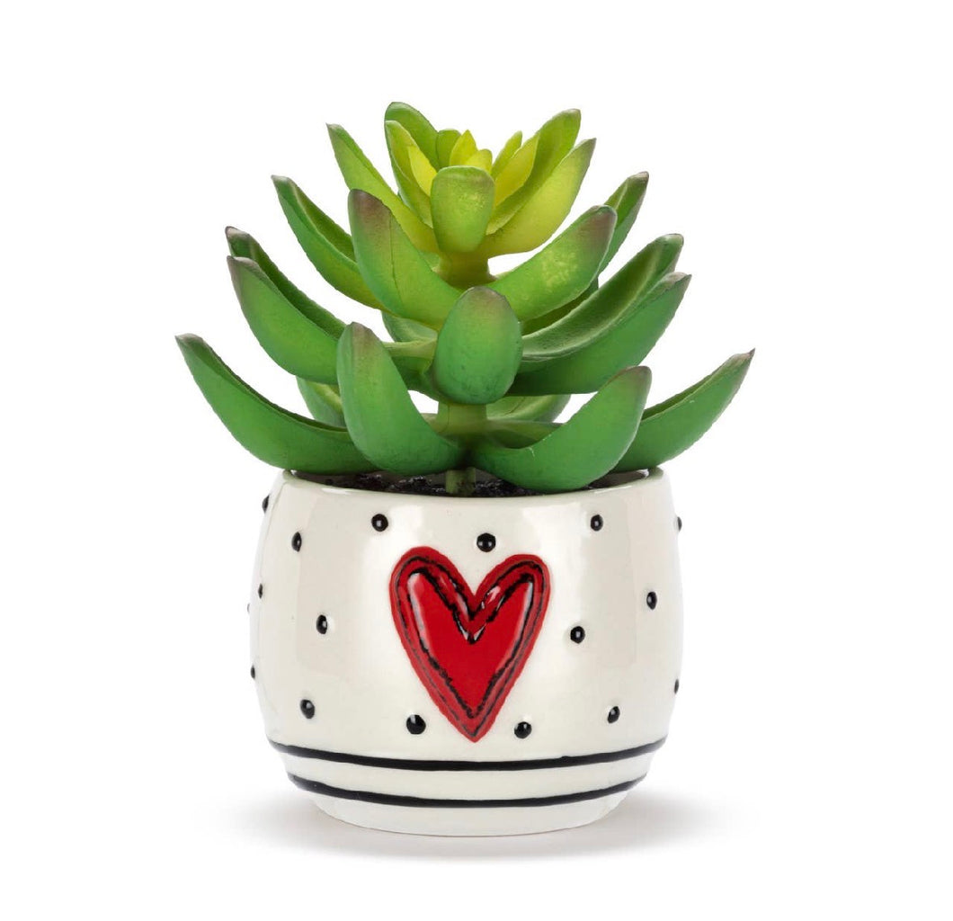Dots & Heart Mini Succulent