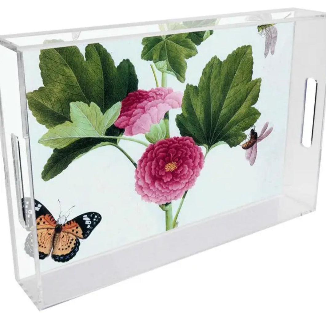 Lucite Tray Collection