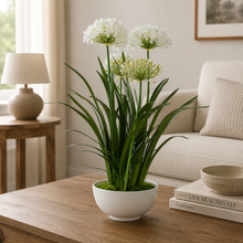 Load image into Gallery viewer, Purity Agapanthus Centerpiece

