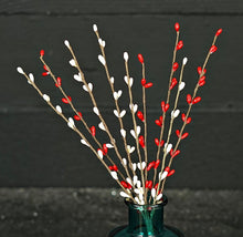 Load image into Gallery viewer, 12” Pip Berry Pick Collection
