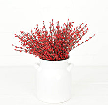 Load image into Gallery viewer, 12” Pip Berry Pick Collection
