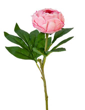 Load image into Gallery viewer, 23” Real Touch Peony Spray Collection
