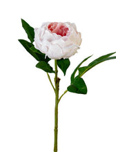 Load image into Gallery viewer, 23” Real Touch Peony Spray Collection
