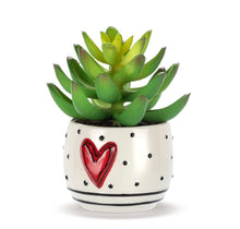 Load image into Gallery viewer, Dots &amp; Heart Mini Succulent
