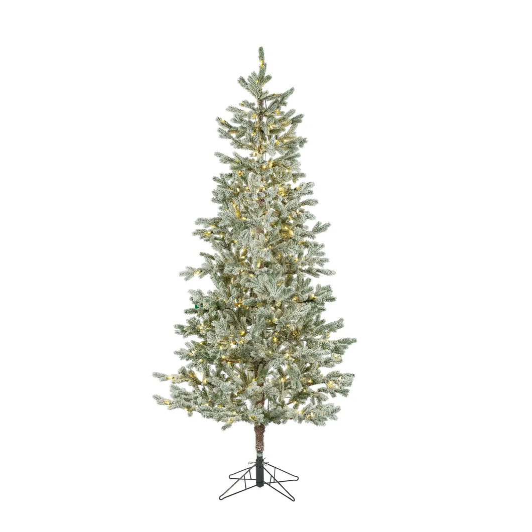 Flocked Sparse Rainier Pine 7.5' Pre-lit Clear
