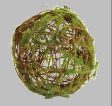 Load image into Gallery viewer, Moss Wrapped Orb
