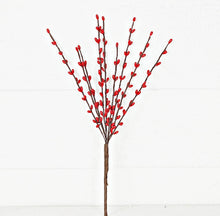 Load image into Gallery viewer, 12” Pip Berry Pick Collection
