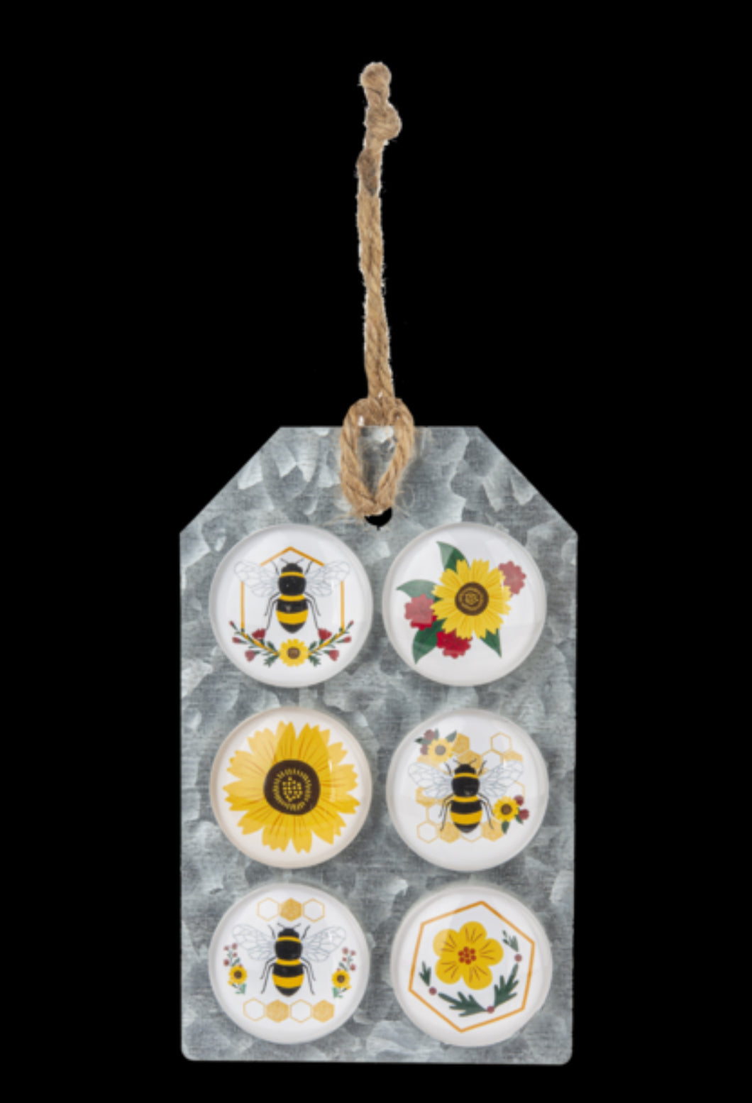 Honeycomb Bee Magnet Set