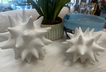 Load image into Gallery viewer, White Urchin Ball Collection
