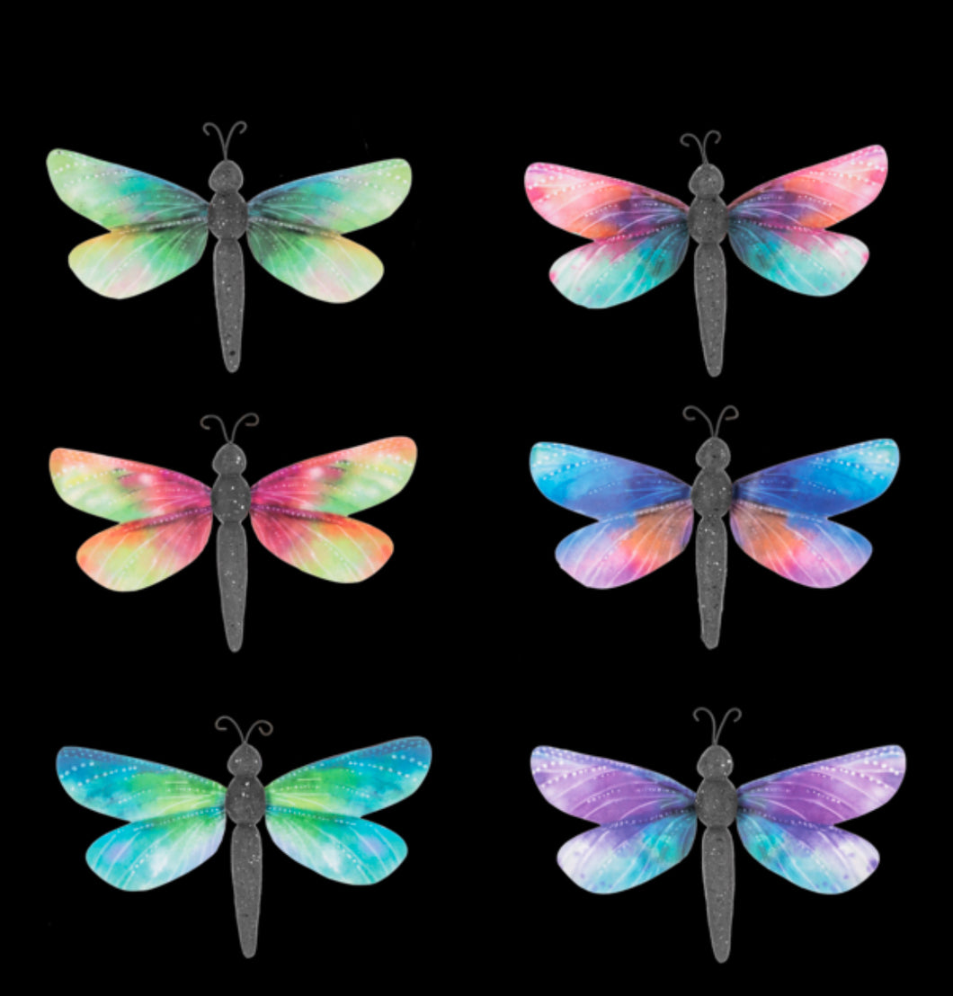 Dragonfly Magnets