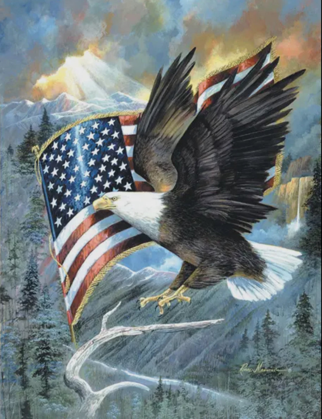 American Eagle Puzzle- 500pcs
