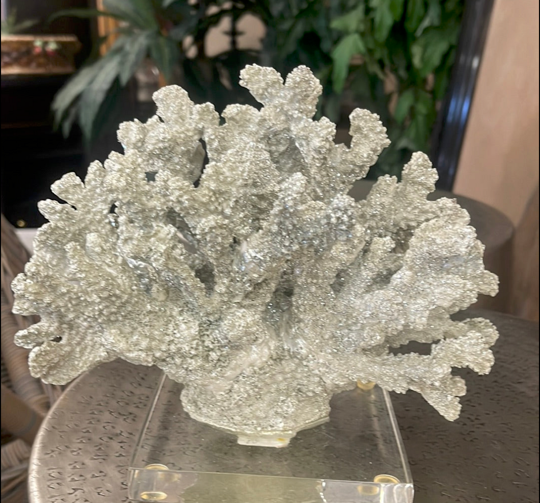 Coral On Acrylic Base