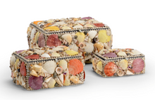 Load image into Gallery viewer, Shell Box Collection
