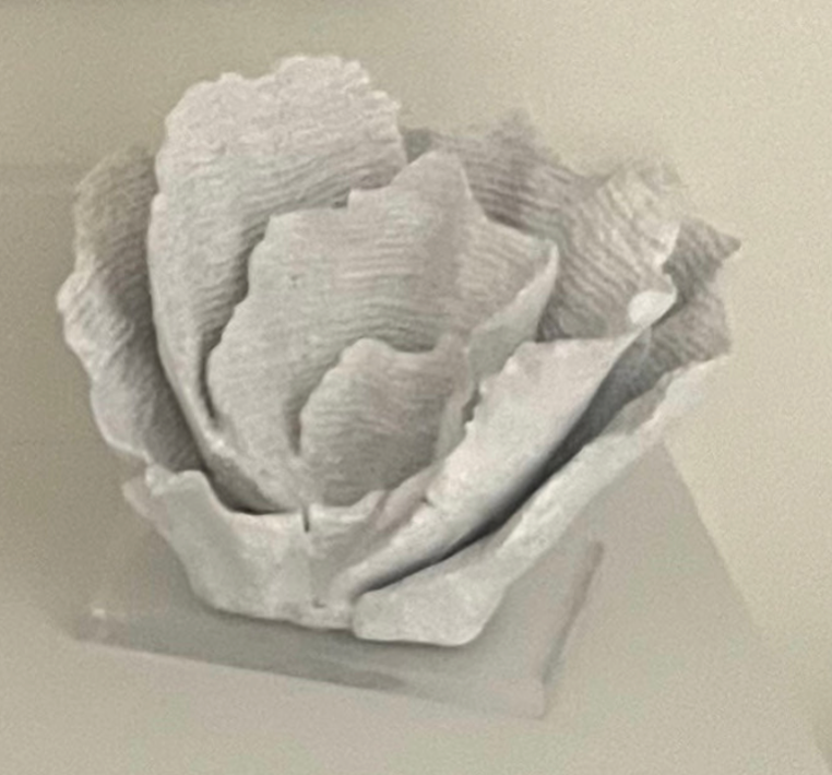 Faux White Coral On Acrylic Base