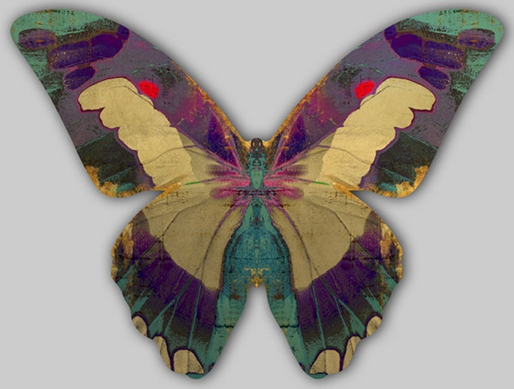 Butterfly Wings Art