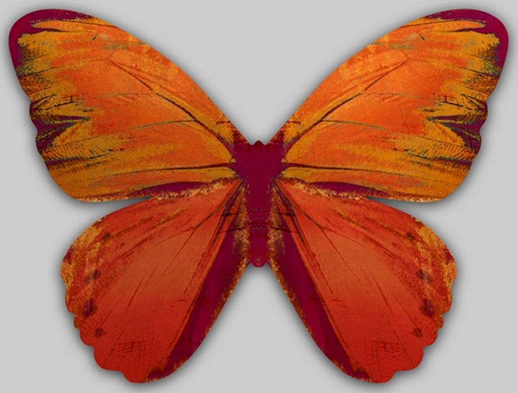 Butterfly Wings Art