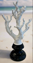 Load image into Gallery viewer, White Coral Statue Collection

