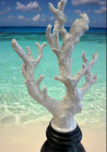 Load image into Gallery viewer, White Coral Statue Collection
